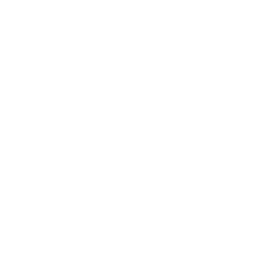 Steam